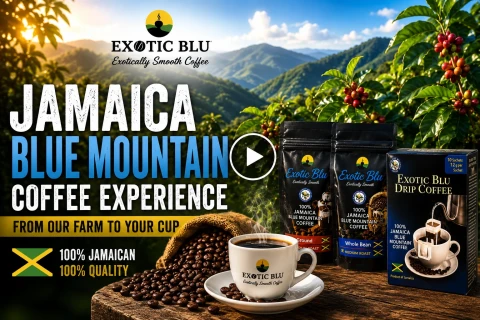 Exotic Blu Jamaican Blue Mountain coffee products showcasing premium coffee sourced from Jamaica's Blue Mountains.