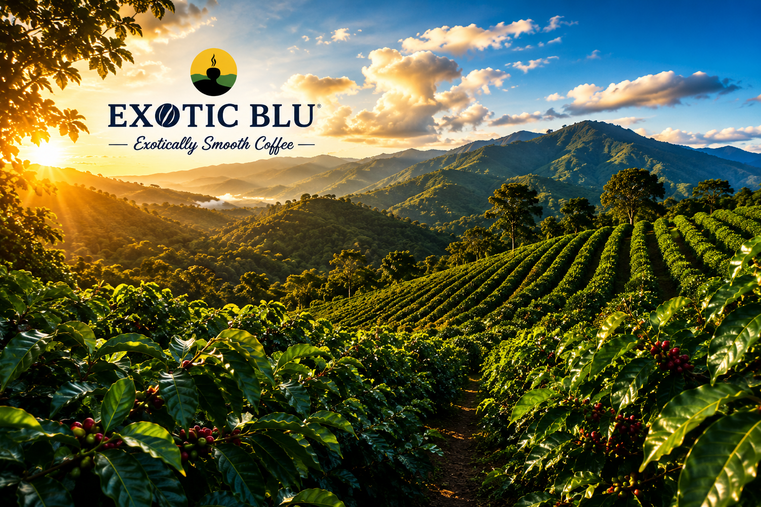 Exotic Blu Jamaican Blue Mountain coffee products showcasing premium coffee sourced from Jamaica's Blue Mountains.